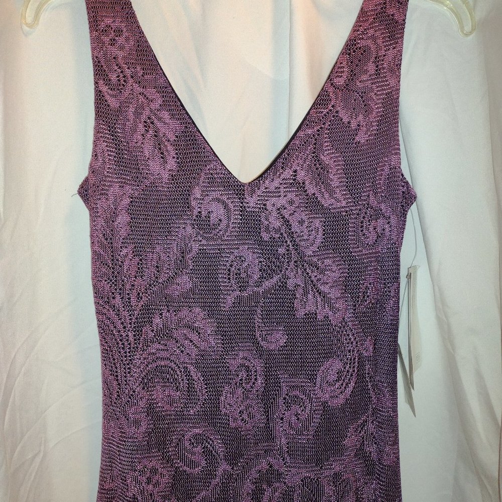 Alyn Paige Dress *New
